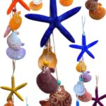 Kabuklu Askili Yildiz